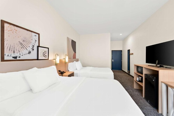 Spark by Hilton Mansfield image 21