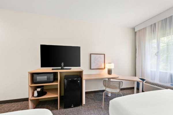 Spark by Hilton Mansfield image 26