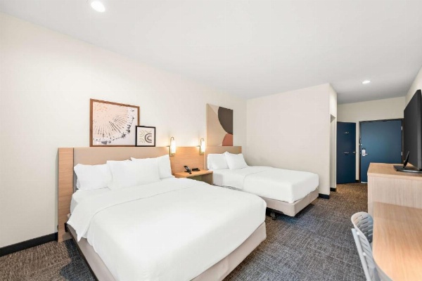 Spark by Hilton Mansfield image 27